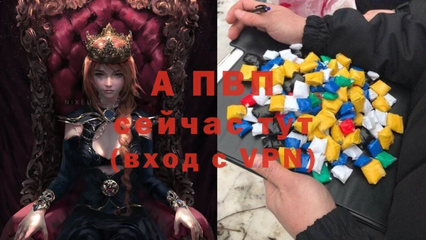 МДПВ Карпинск