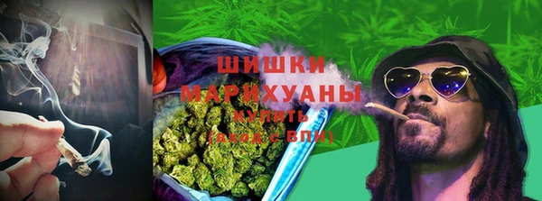 Альфа ПВП Касимов